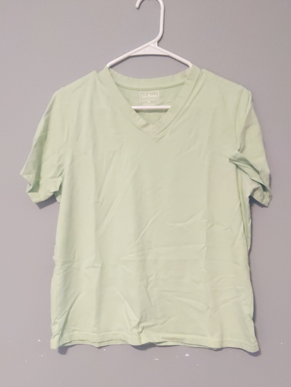 L.L. Bean Short Sleeve V-Neck Tee in Pale Mint
